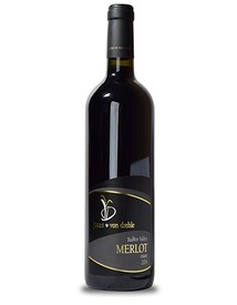 2019 Merlot